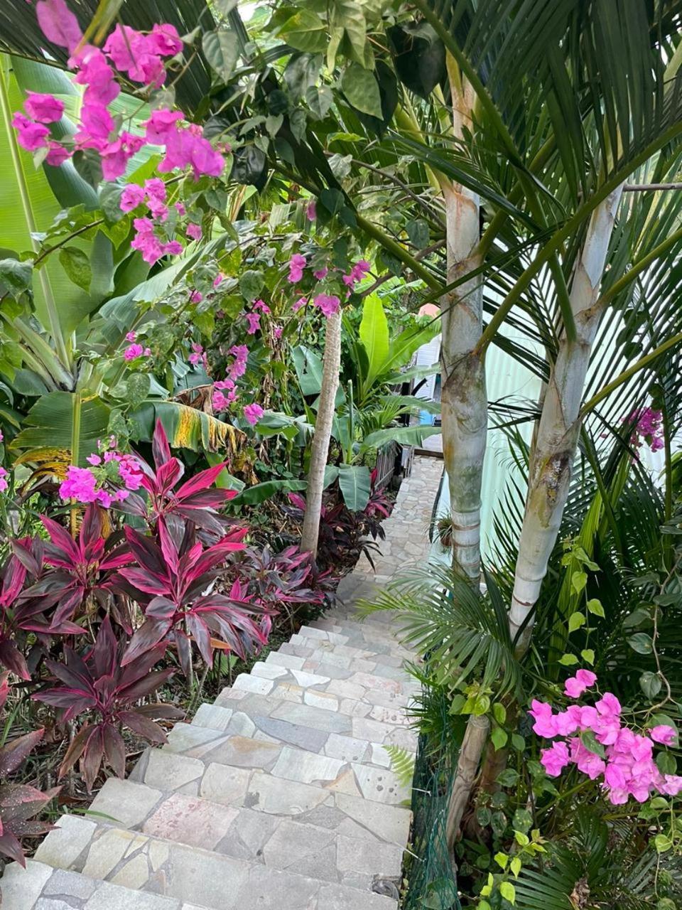 La Casita Ilohe Villa Riviere-Salee ภายนอก รูปภาพ
